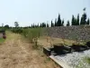 Grand terrain de la vente de notre maison d'hôte - gîte à vendre avec piscine à Perpignan (4).webp